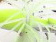 KEITECH Tee-Bone Buzzbait