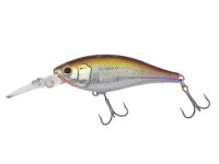 Jetty Shad 62SP (Nories)