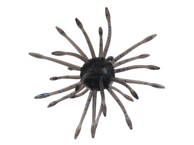 Uni (Yamamoto Baits)
