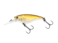 SX 40F (302) Gold Shiner