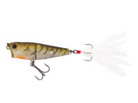 PP 60F (392) Brown Craw