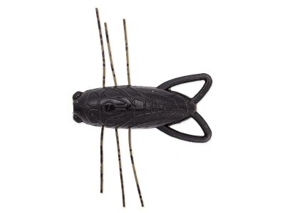 1.6" Insecter - Black