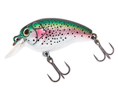 CK 40F07 (358) Rainbow Trout