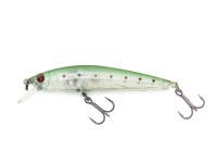 Green Pointed Minnow (355)