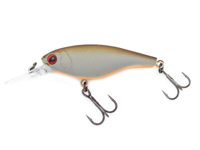 (339) Brown Back/Orange Belly