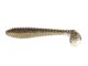 Gold Flash Minnow