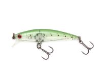 (355) Green Pointed Minnow