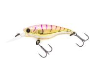 Golden Shrimp (352)