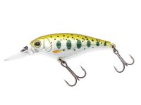 Baby Trout (357)