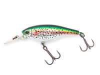 Rainbow Trout (358)