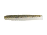 Mud Minnow