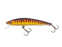 (305) Devil Tiger