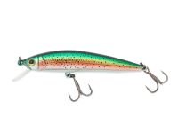 (358) Rainbow Trout
