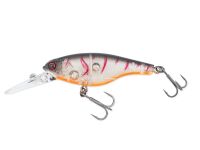 (524) Orange Craw