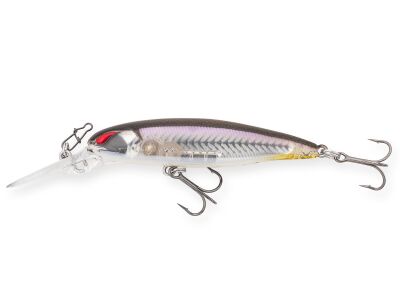 (062) BB Live Wakasagi