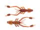 Spring Craw