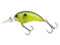 Watermelon Green Shad