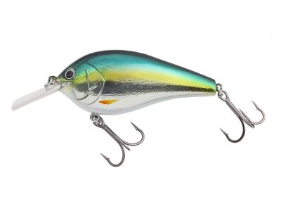 (240) Lightning Hasu