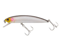 (556) Black Shad