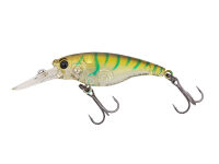 (390) Green Scratch Shrimp