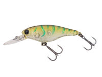 (390) Green Scratch Shrimp