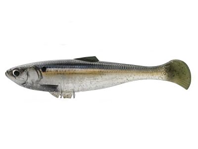 Threadfin Shad