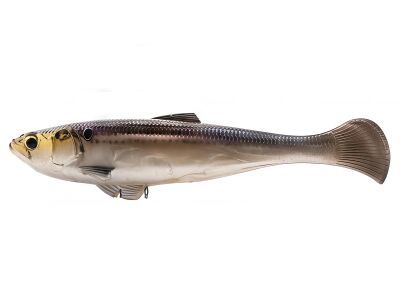 Gizzard Shad