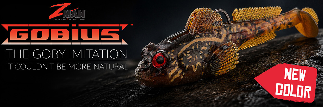 New Gobius color - CT Brown Goby